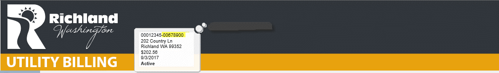 Utility Account Number